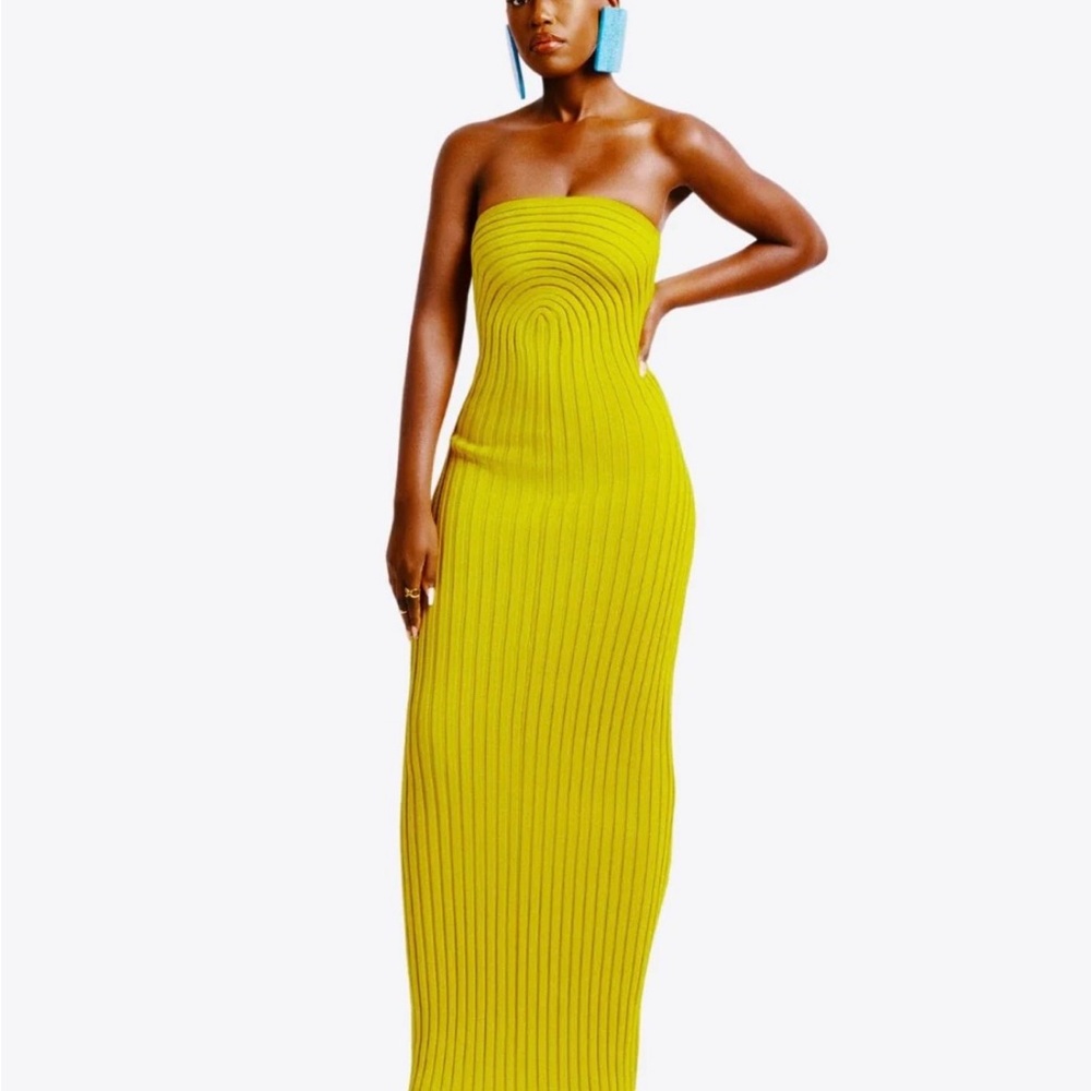 Hanifa Roxi Knit Strapless Dress
